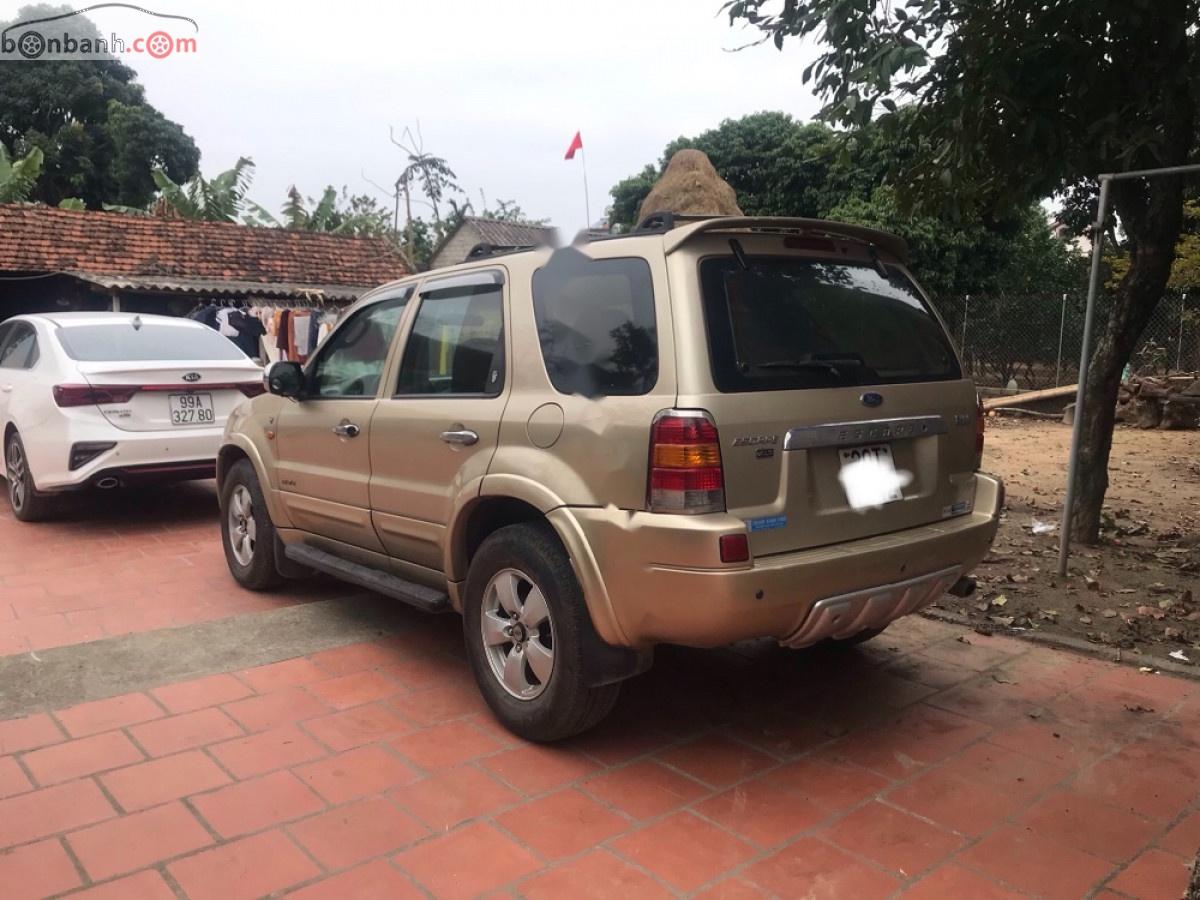 Ford Escape 3.0 V6 2003 - Bán Ford Escape 3.0 XLT đời 2003, màu vàng, số tự động, giá tốt