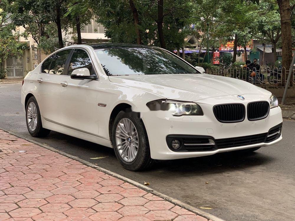 BMW 5 Series 2015 - Bán BMW 5 Series 520i năm 2015, màu trắng, xe nhập