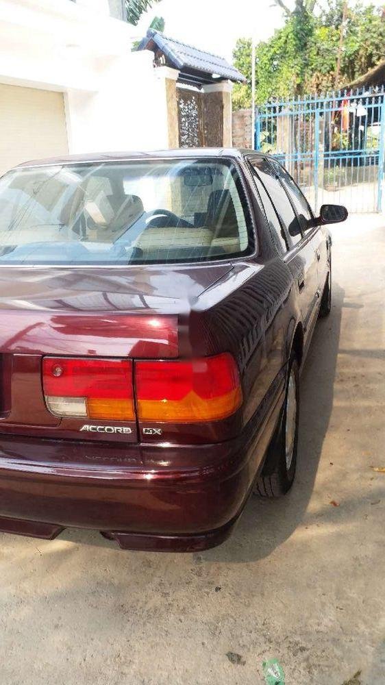 Honda Accord 1996 - Bán Honda Accord đời 1996, màu đỏ, nhập khẩu nguyên chiếc, giá tốt