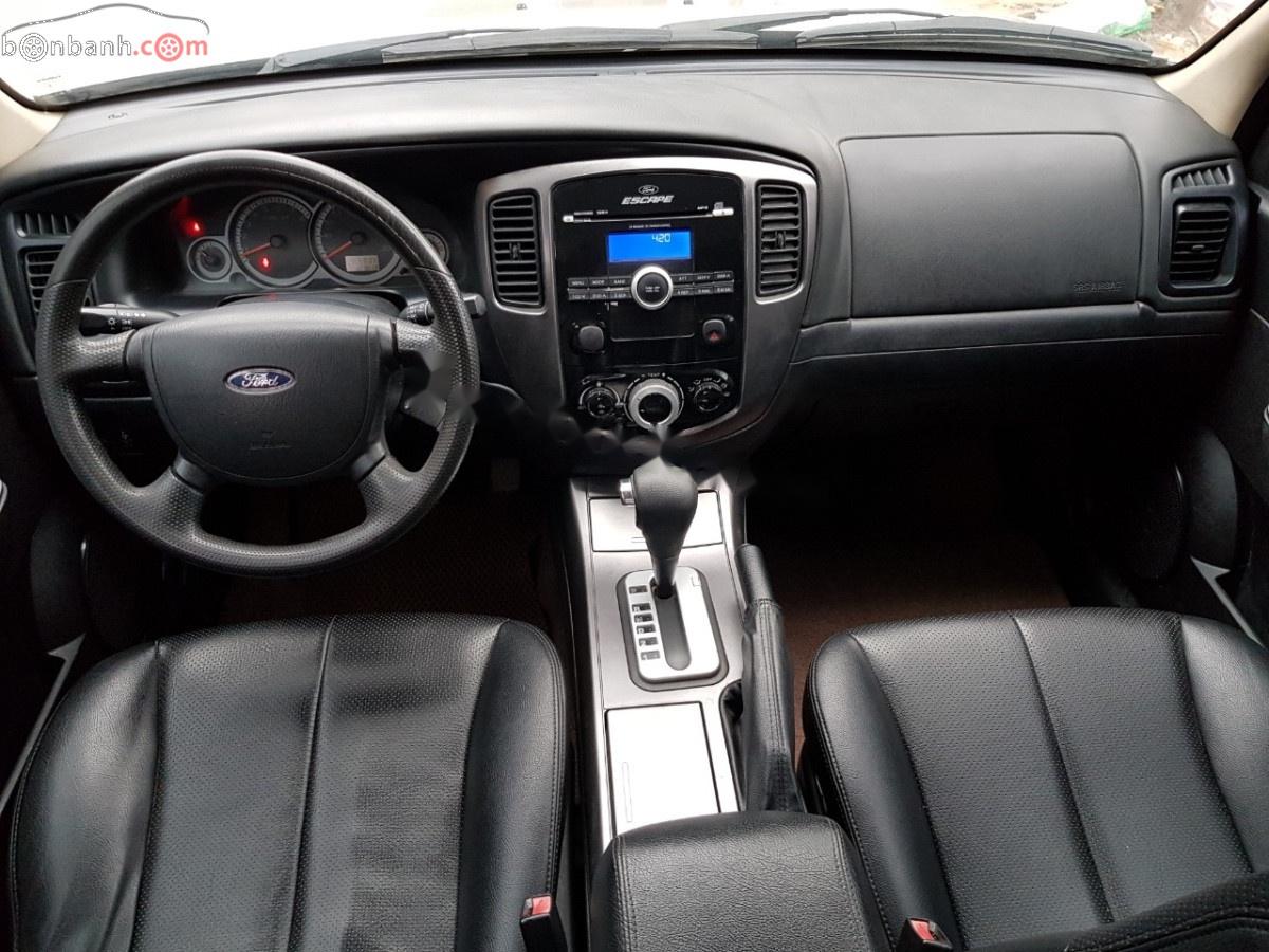 Ford Escape Xls 2010 - Bán Ford Escape Xls năm sản xuất 2010, màu hồng giá cạnh tranh