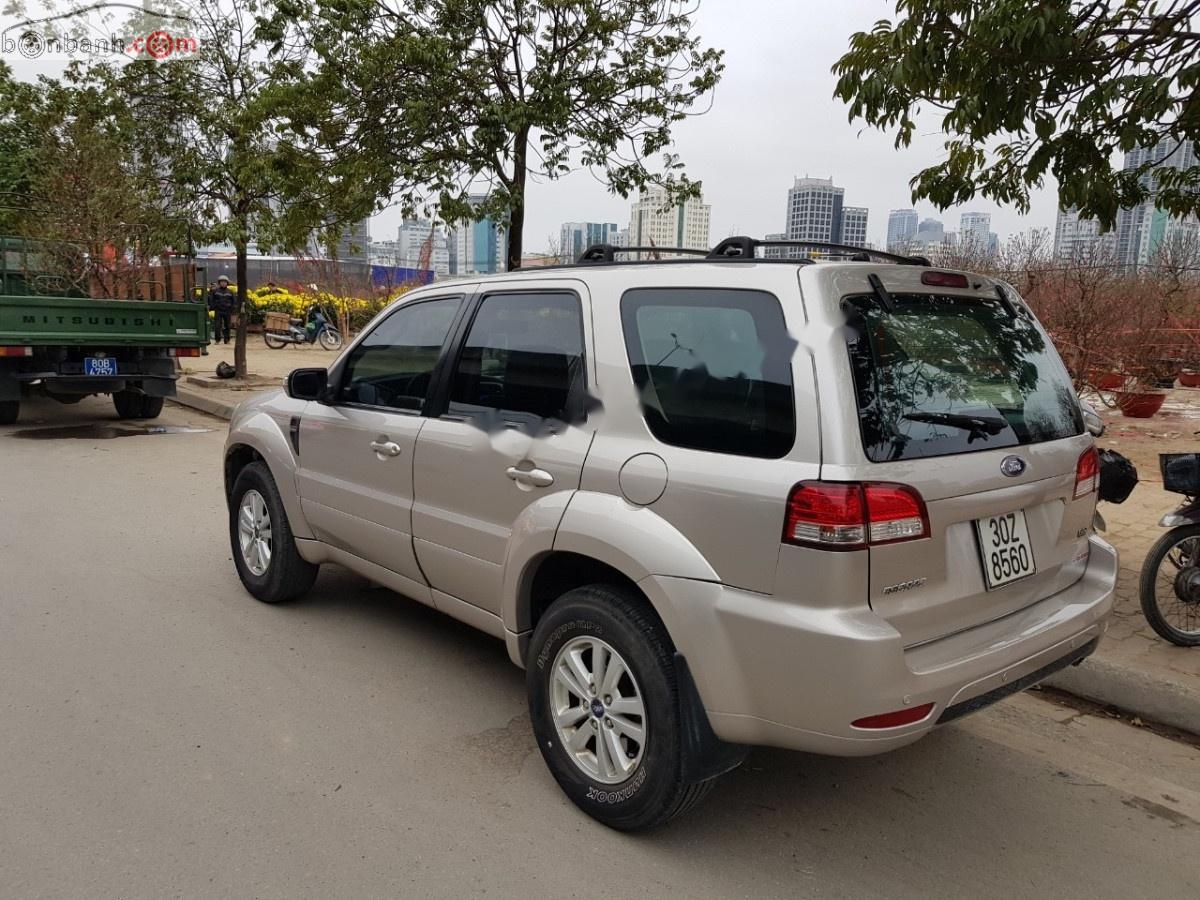 Ford Escape Xls 2010 - Bán Ford Escape Xls năm sản xuất 2010, màu hồng giá cạnh tranh