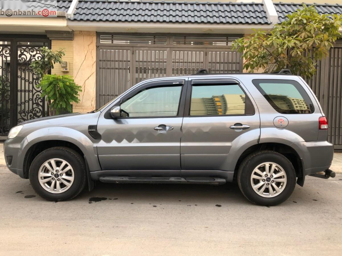 Ford Escape 2010 - Bán xe Ford Escape đời 2010, màu xám đã đi 50000 km