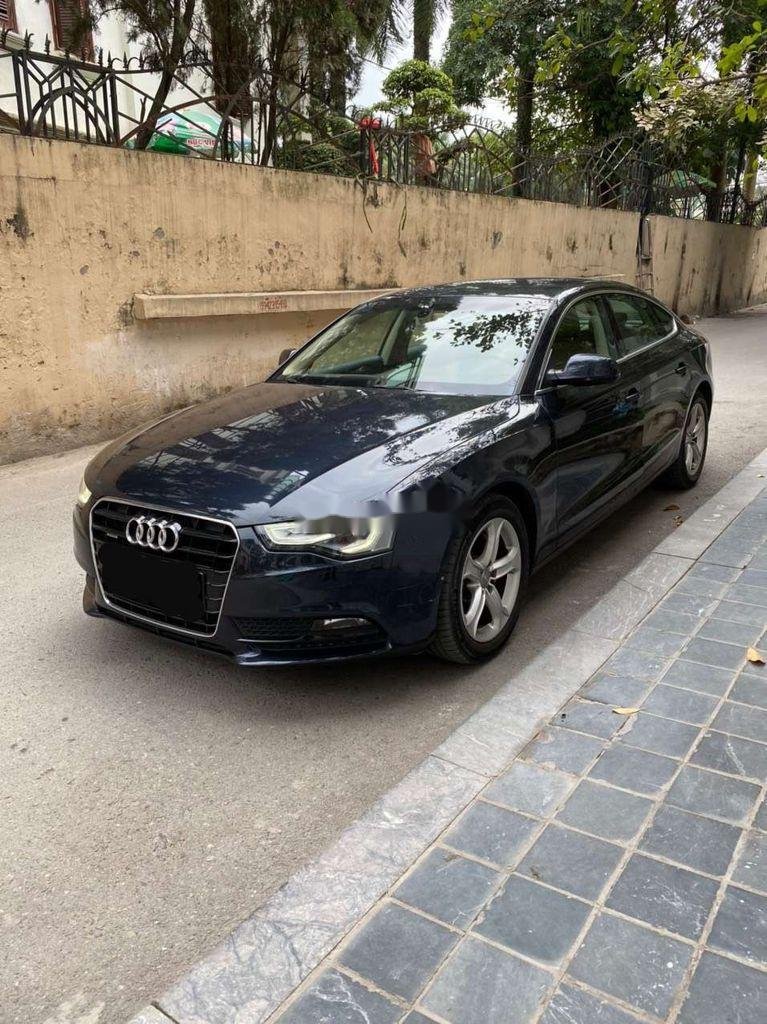 Audi A5 2014 - Bán Audi A5 đời 2014, nhập khẩu xe gia đình