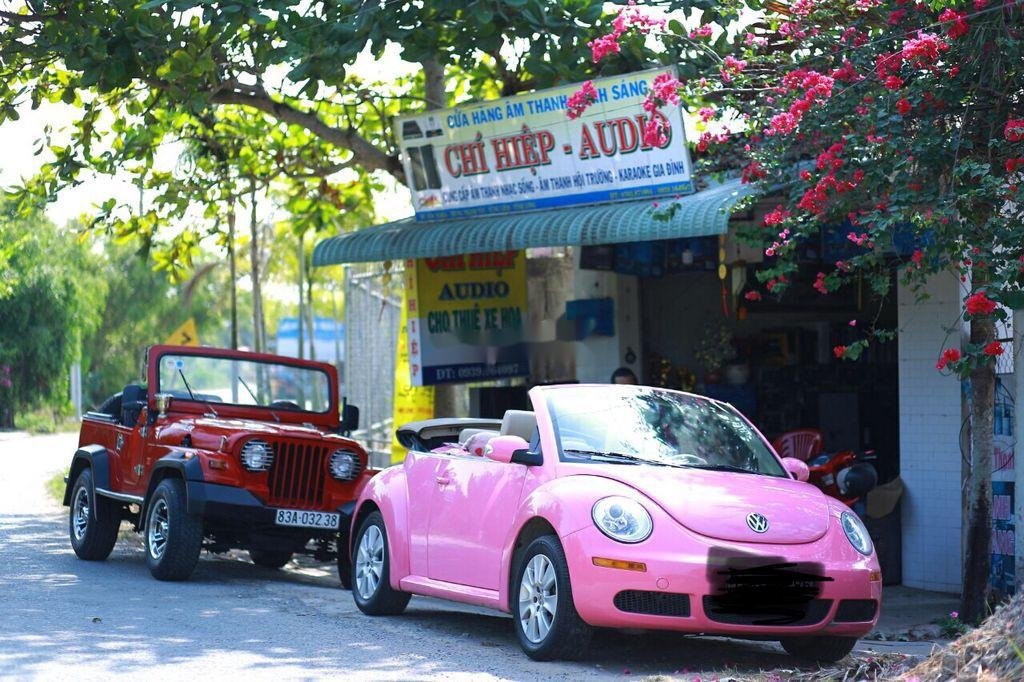 Volkswagen Beetle   2009 - Bán Volkswagen Beetle sản xuất năm 2009, xe mui trần xếp điện