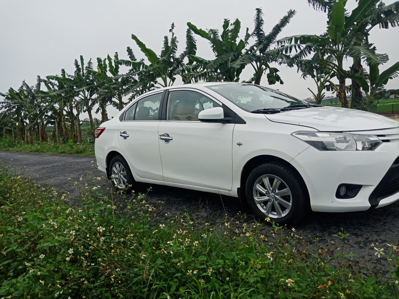 Toyota Vios 2014 - Gia đình cần bán Toyota Vios sản xuất 2014, màu trắng, mới đi được 10.000km