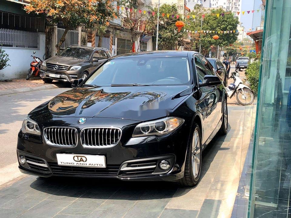 BMW 5 Series 2015 - Cần bán gấp BMW 5 Series 520i sản xuất năm 2015