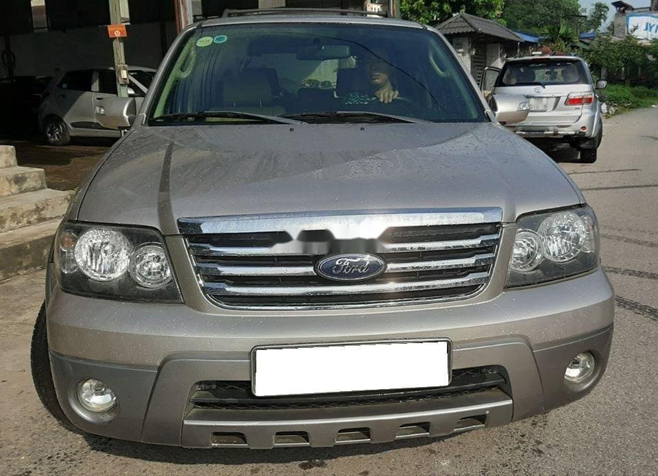 Ford Escape    2008 - Xe Ford Escape năm sản xuất 2008, giá 243tr