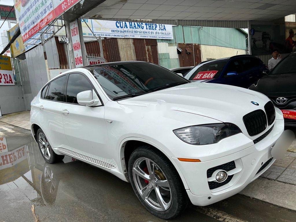 BMW X6    2010 - Bán BMW X6 năm 2010, màu trắng, nhập khẩu nguyên chiếc còn mới