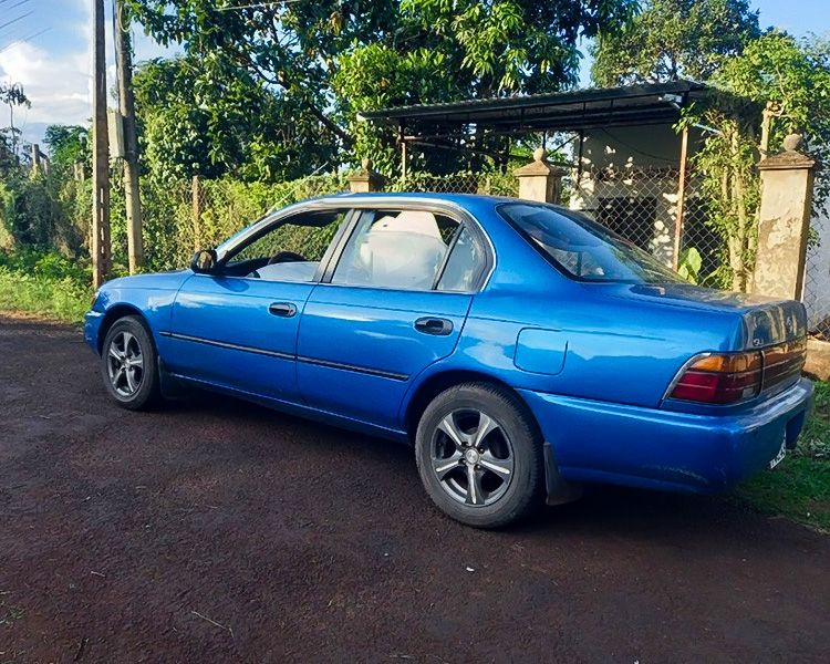 Toyota Corolla   GLi 1.6 MT   1995 - Bán Toyota Corolla GLi 1.6 MT đời 1995, màu xanh lam, nhập khẩu còn mới