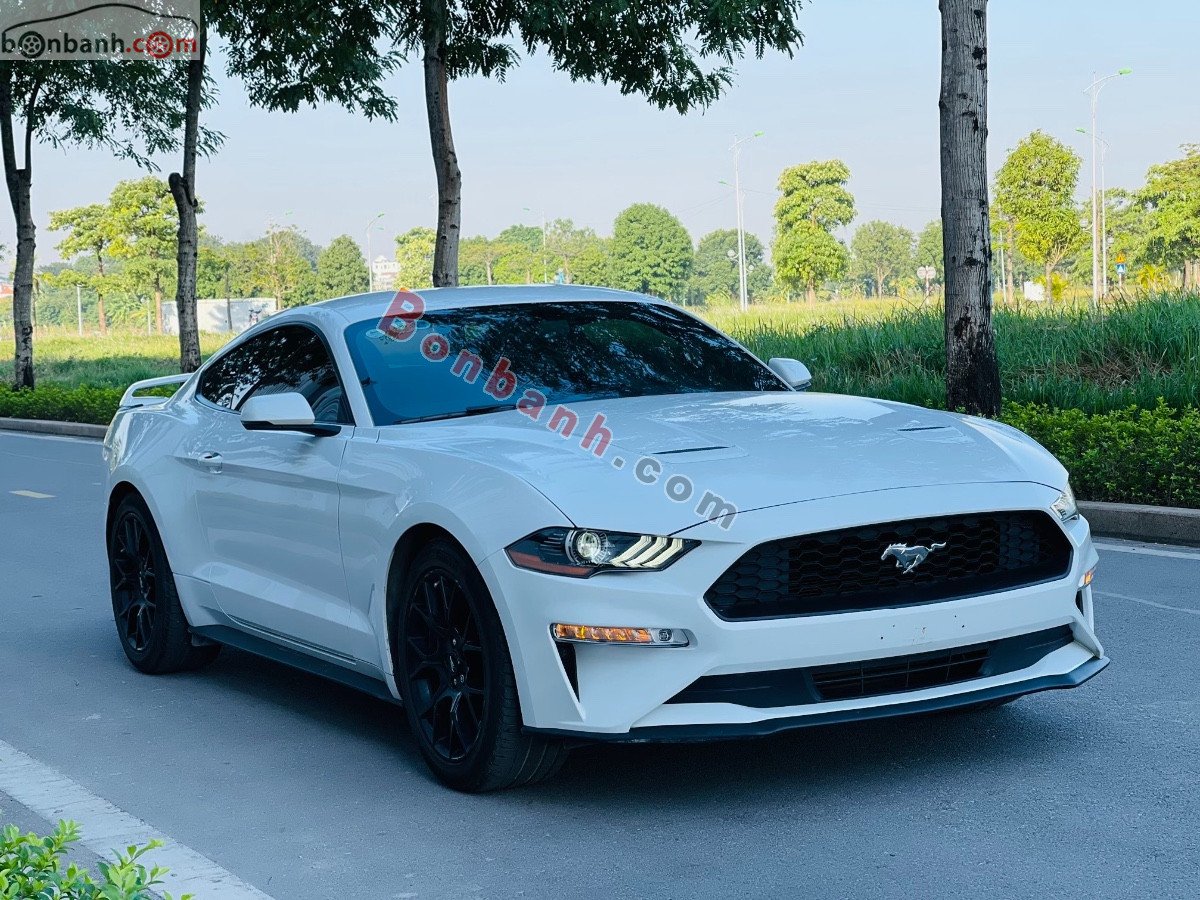 Ford Mustang Premium Fastback   2019 - Cần bán Ford Mustang Premium Fastback đời 2019, màu trắng, nhập khẩu