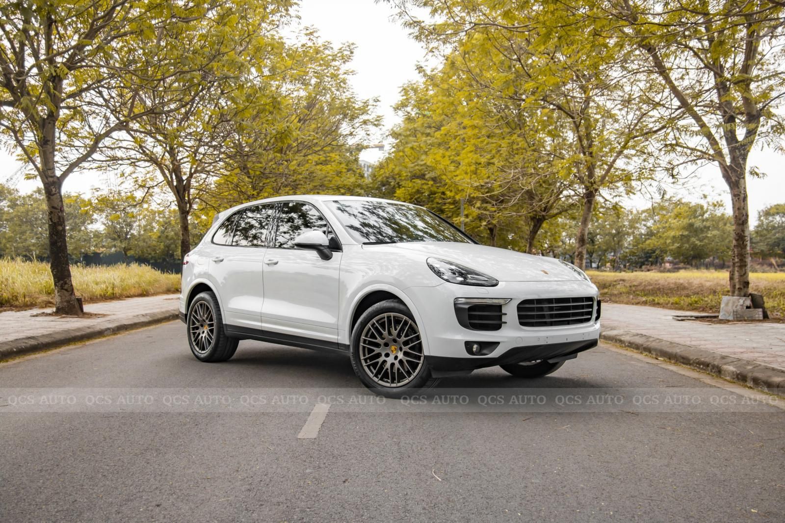 Porsche Cayenne 2017 - Cần bán Porsche Cayenne Platinum năm 2017 giá 4 tỷ 350tr