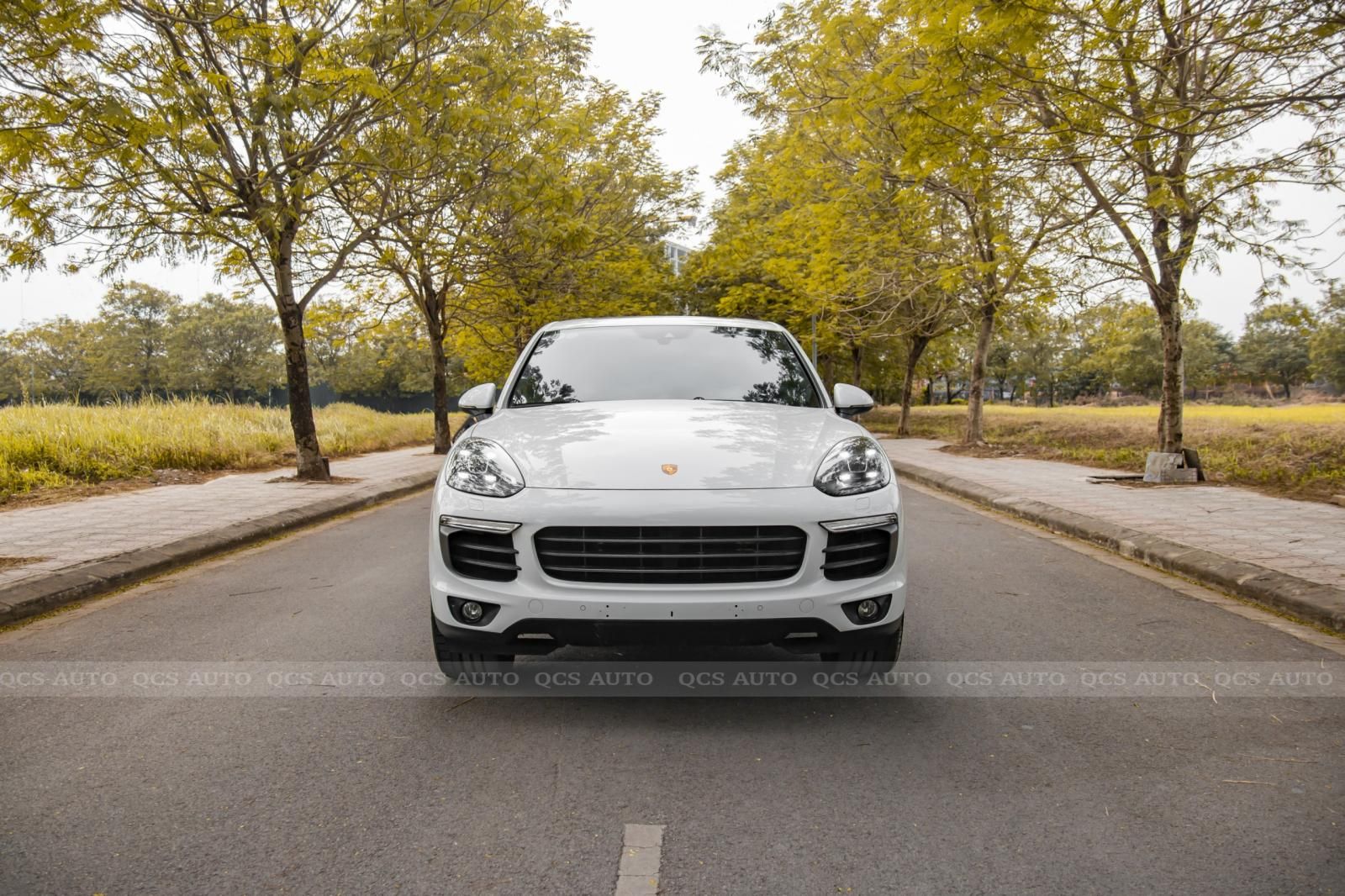 Porsche Cayenne 2017 - Cần bán Porsche Cayenne Platinum năm 2017 giá 4 tỷ 350tr