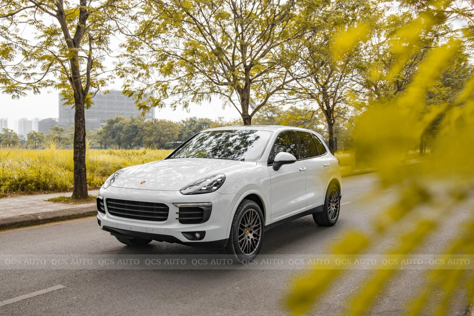 Porsche Cayenne 2017 - Cần bán Porsche Cayenne Platinum năm 2017 giá 4 tỷ 350tr