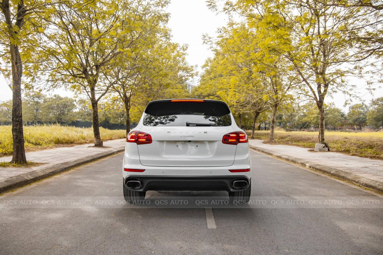 Porsche Cayenne 2017 - Cần bán Porsche Cayenne Platinum năm 2017 giá 4 tỷ 350tr