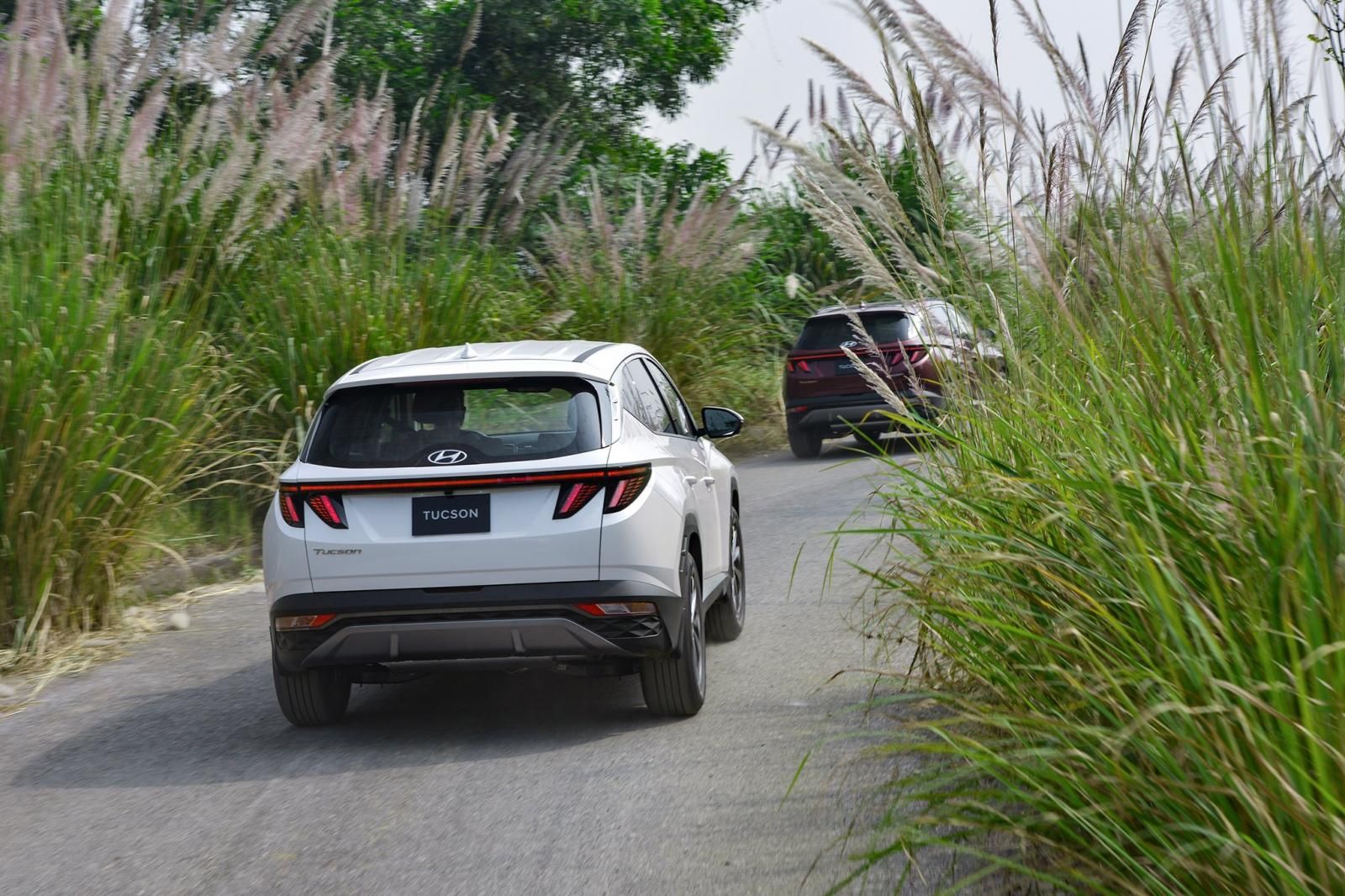 Hyundai Tucson 2022 - Hyundai Tucson AT 2022 siêu mới, hỗ trợ trả góp 85%, tặng 12 tháng BHVC, tặng 100% phí dịch vụ