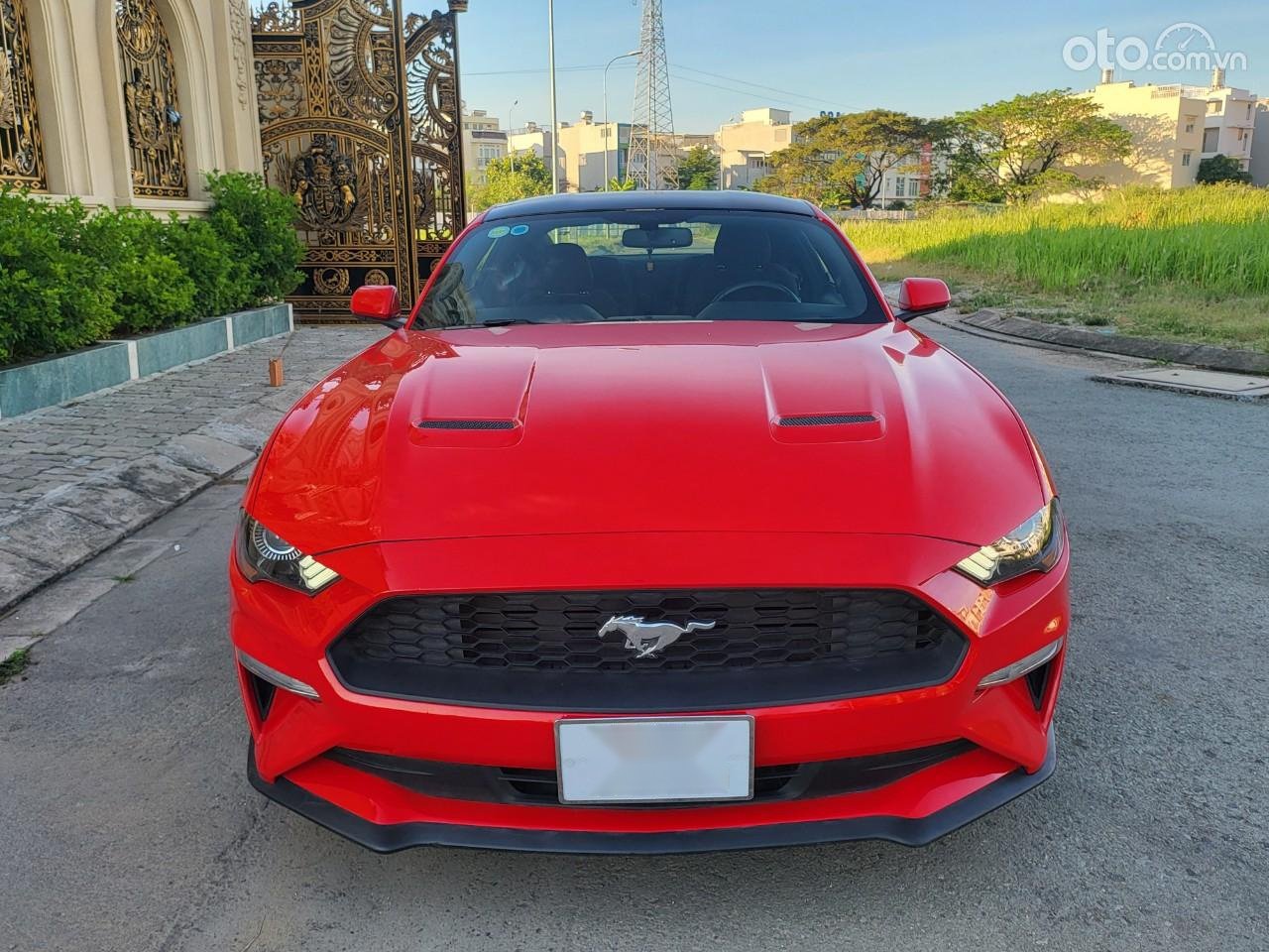 Ford Mustang 2018 - Xe màu đỏ, xe nhập