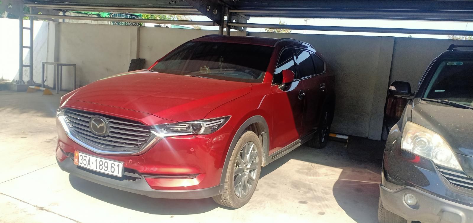 Mazda CX-8 2019 - Cầm bán xe màu đỏ