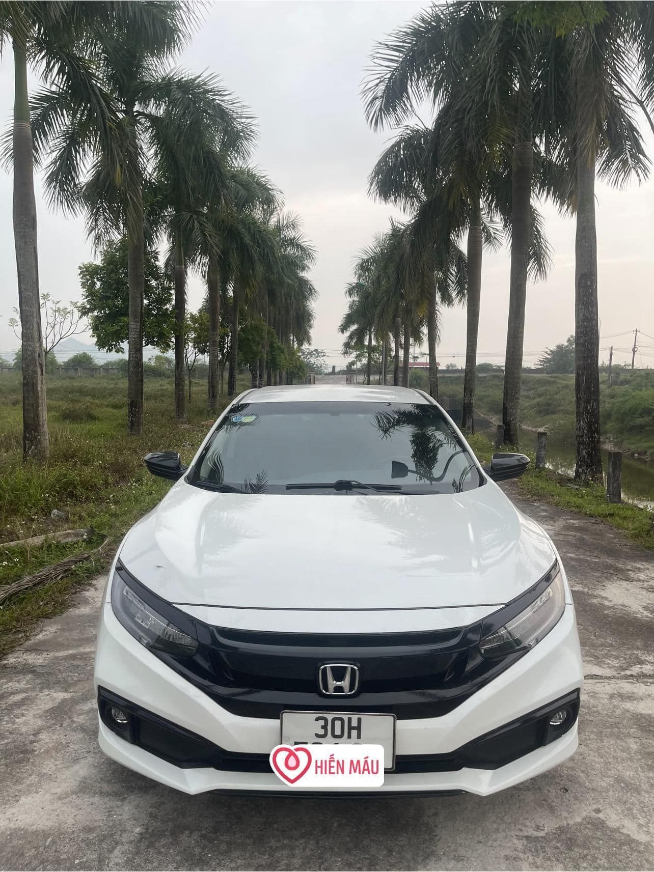 Honda Civic 2019 - Honda Civic 2019