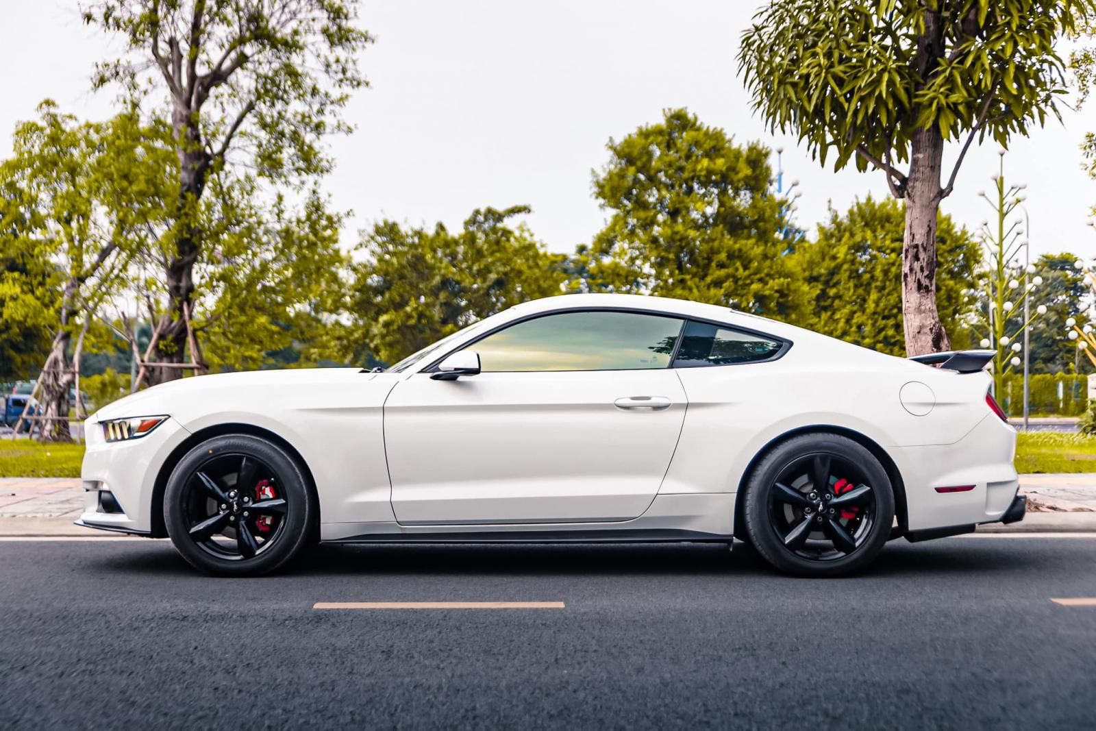Ford Mustang 2014 - Ford Mustang 2014