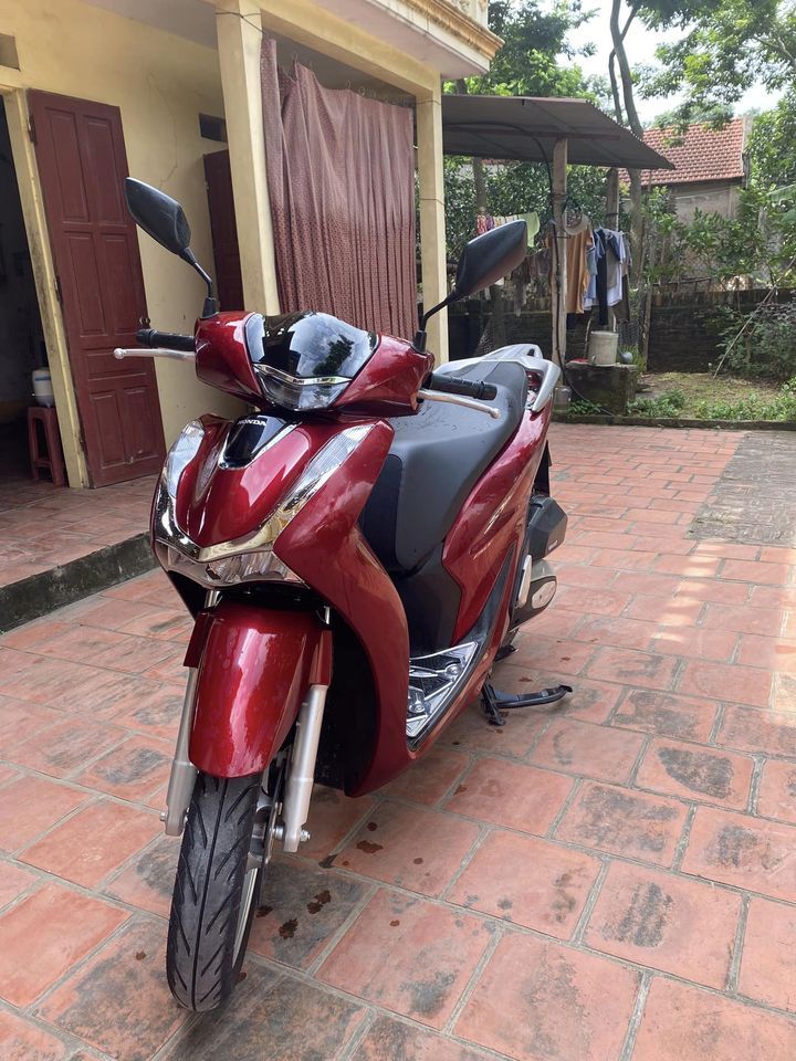 Suzuki Alto 2021 - Suzuki Alto 2021