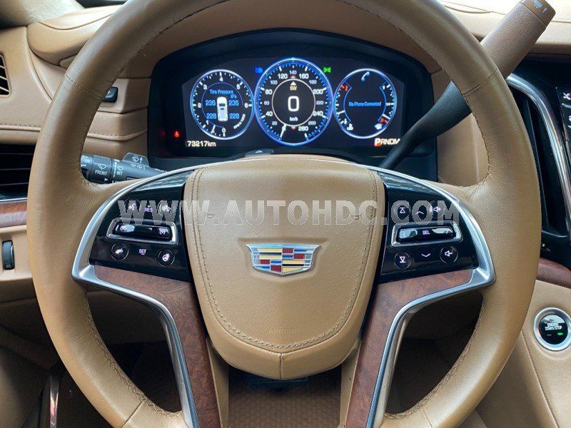 Cadillac Escalade 2015 - Biển thành phố