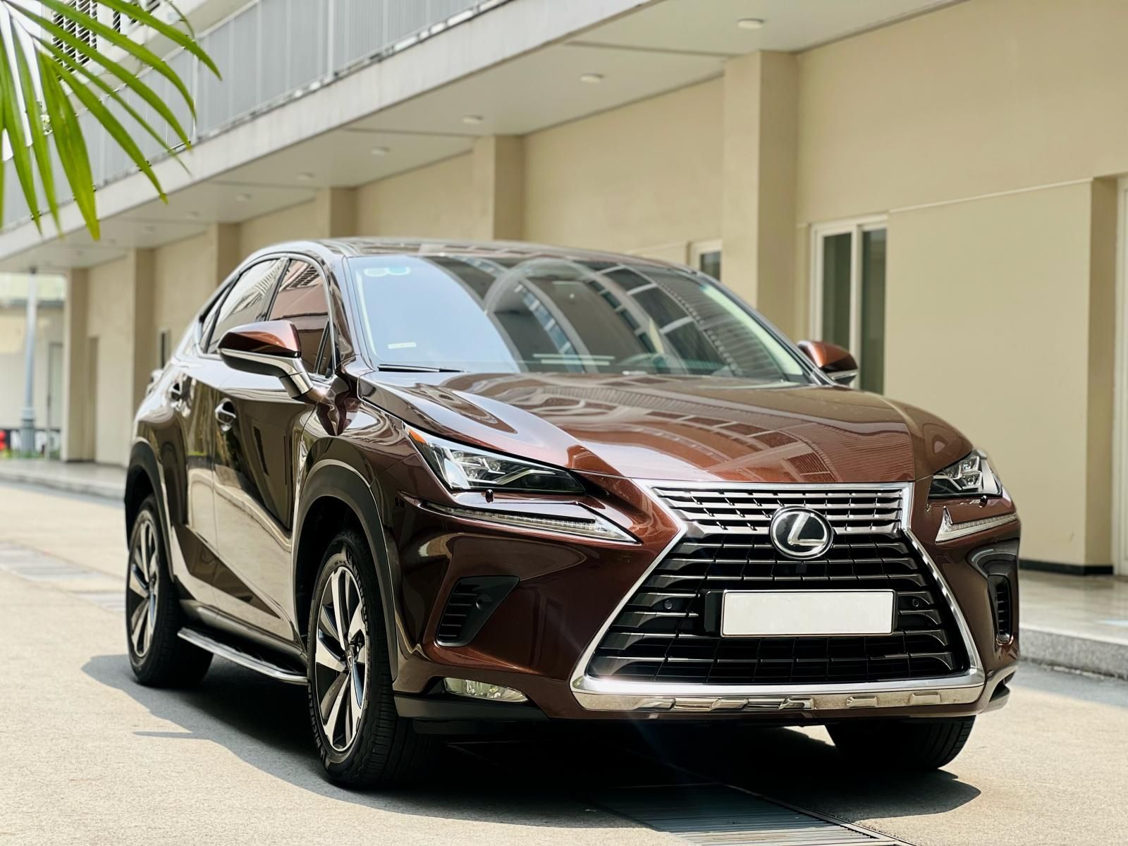 Lexus NX 300 2018 - Xe cực đẹp, màu nâu Havana