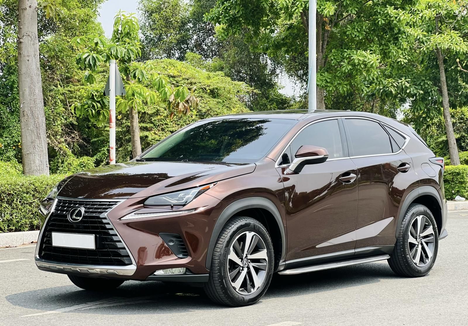 Lexus NX 300 2018 - Xe cực đẹp, màu nâu Havana