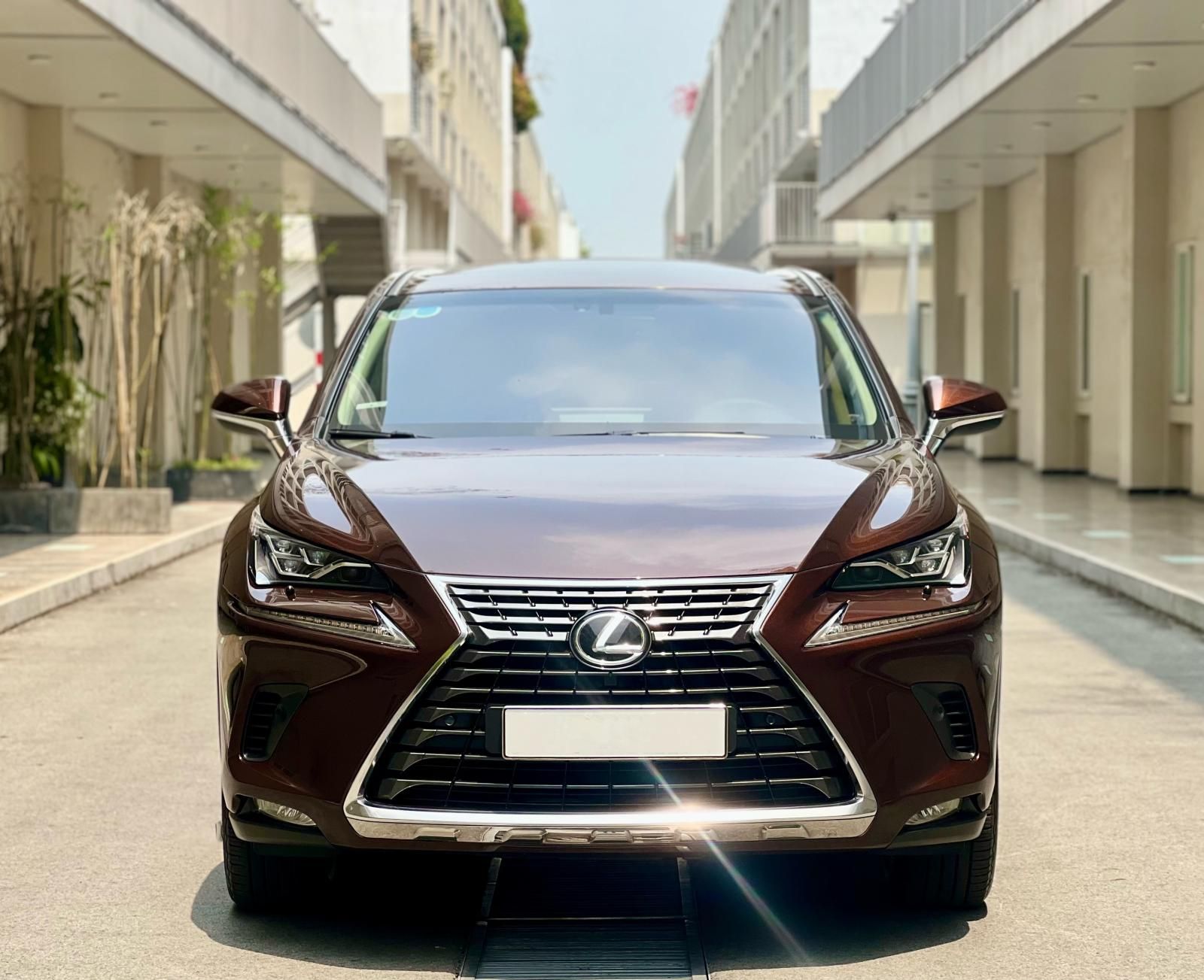 Lexus NX 300 2018 - Xe cực đẹp, màu nâu Havana