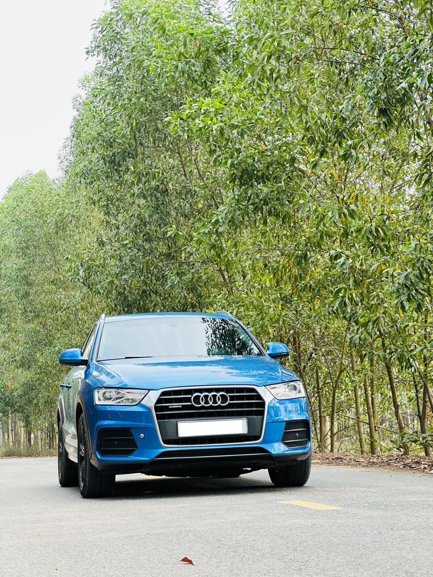 Audi Q3 2015 - Bán xe đăng ký 2015, nhập khẩu, giá 799tr