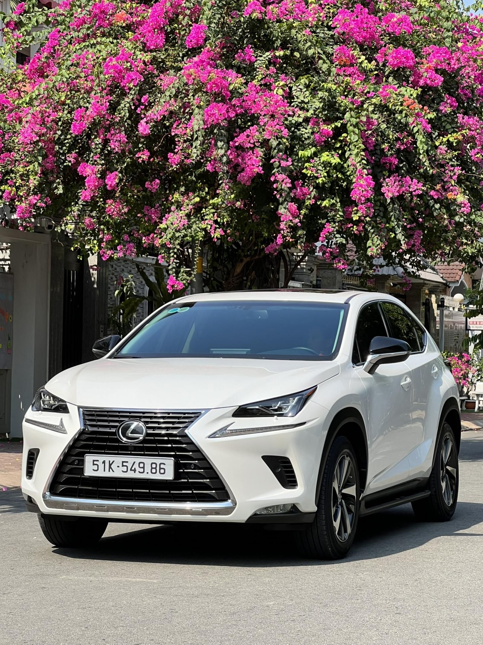 Lexus NX 300 2020 - Nước sơn zin 100% xe gia đình sử dụng ít