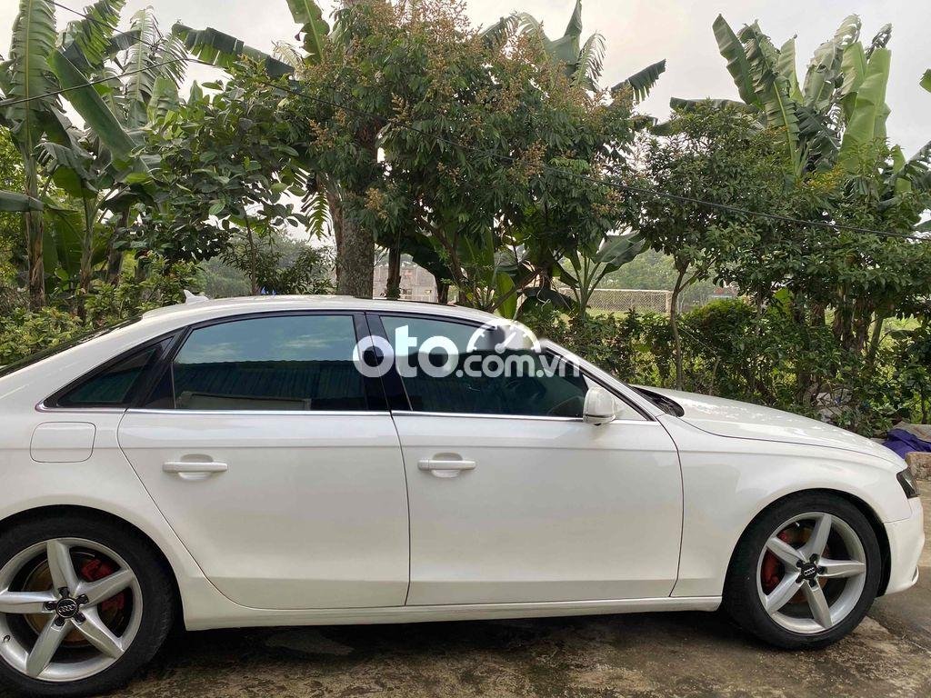 Audi A4   2009 2008 - audi A4 2009