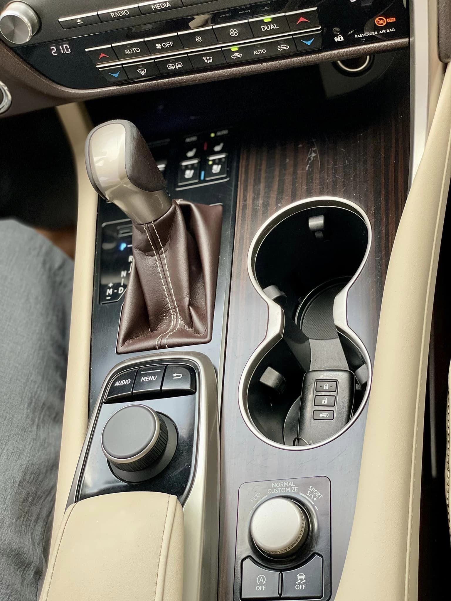 Lexus RX 300 2018 - Lexus RX 300 2018