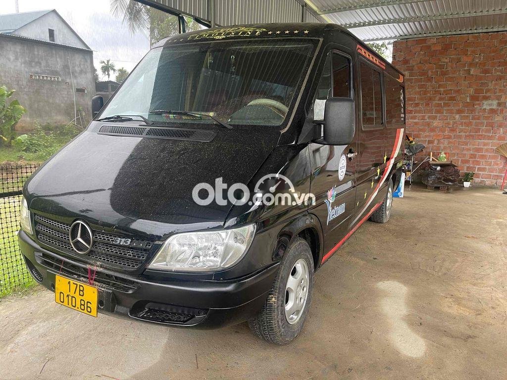 Mercedes-Benz Sprinter printer 313 2009 - printer 313