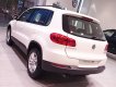 Volkswagen Tiguan E 2015 - Cần bán xe Volkswagen Tiguan E đời 2015, màu đỏ, nhập khẩu nguyên chiếc