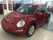 Volkswagen New Beetle 2010 - Cần bán Volkswagen New Beetle đời 2010, màu đỏ, nhập khẩu, giá tốt