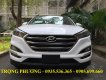 Hyundai Tucson 2018 - Cần bán xe Hyundai Tucson đời 2018, nhập khẩu chính hãng