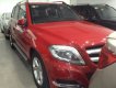 Mercedes-Benz GLK 2013 - Bán Mercedes GLK đời 2013, màu đỏ, xe nhập