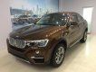 BMW X4 2017 - Bán xe BMW X4 2017, màu nâu, nhập khẩu nguyên chiếc, ưu đãi lớn dịp khai trương