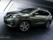 Nissan X trail 2.0L 2017 - Cần bán xe Nissan X Trail 2WD đời 2018, màu xanh, nhập khẩu, khuyến mại tiền mặt và phụ kiện