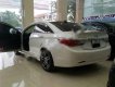 Hyundai Sonata 2.0AT 2010 - Cần bán xe cũ Hyundai Sonata 2.0AT năm 2010, màu trắng, xe nhập