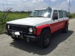Nissan Patrol   1994 - Bán ô tô Nissan Patrol đời 1994, hai màu, nhập khẩu chính hãng