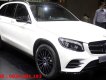 Mercedes-Benz Smart GLC 300 AMG 2018 - Mercedes GLC 300 AMG đời 2018 - Ưu đãi đặc biệt, xe giao ngay