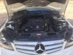 Mercedes-Benz C250 2011 - Cần bán gấp Mercedes C250 đời 2011, màu trắng xe gia đình