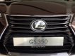 Lexus GS350 AT 2017 - Lexus Trung Tâm Sài Gòn bán ô tô Lexus GS350 AT đời 2017, màu nâu, nhập khẩu