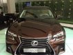 Lexus GS350 AT 2017 - Lexus Trung Tâm Sài Gòn bán ô tô Lexus GS350 AT đời 2017, màu nâu, nhập khẩu