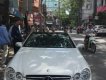 Mercedes-Benz CLK class 320 2005 - Bán Mercedes CLK320 đời 2005, màu trắng, nhập khẩu chính hãng số tự động