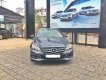 Mercedes-Benz E200 2016 - Bán Mercedes E200 2016, màu xanh lam, nhập khẩu