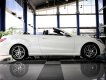 Mercedes-Benz E400 E400 Cabriolet 2017 - Cần bán xe Mercedes E400 Cabriolet sản xuất 2017, màu trắng, nhập khẩu chính hãng
