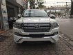 Toyota Land Cruiser VX.R 2017 - Cần bán Toyota Land Cruiser VX. R 2017, màu trắng, xe giao ngay