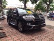 Toyota Land Cruiser VX.R 2017 - Cần bán Toyota Land Cruiser VX. R đời 2017, màu đen, xe giao ngay